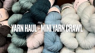 Unexpected 3 Shop Yarn Haul [upl. by Ayortal]