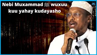 Sh Mustafe Xaaji 2022 “Nebi Muxammad ﷺ wuxuu kuu yahay kudayasho” [upl. by Wheelwright670]