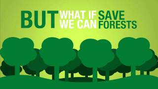 Save Paper to Save Forests [upl. by Saied]