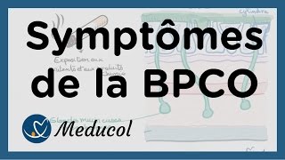 Physiopathologie et symptômes dune bronchite chronique BPCO [upl. by Rednasxela485]