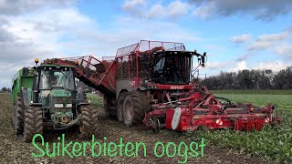 Suikerbietenoogst  Bietenrooier  Sugar Beet Harvest  Bieten rooien  Zuckerruben ernten [upl. by Adnalra]