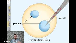 chapter 3 activity 2 The Gene Structure and Information Unit part 2 Grade 11 [upl. by Guerin954]