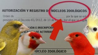 NÚCLEO ZOOLÓGICO REQUISITOS Y DOCUMENTACIÓN [upl. by Ragouzis80]