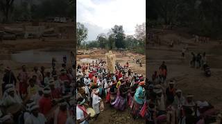 बस्तर की संस्कृति।Bastar Culture। shorts sorts bailadila viral halbi gondi bastar bastariya [upl. by Palma]