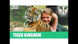 Tiger Kingdom [upl. by Tudor202]