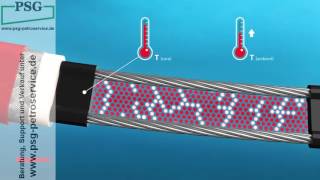 How do Raychem selfregulating trace heating cables work Find out here [upl. by Lewiss696]