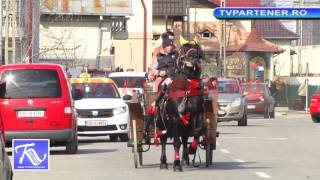 Ghenosu a făcut spectacol la parada bulgarilor din Târgoviște [upl. by Eidua]