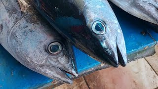 Live 04 Aug 24 ‼️🔥 Cutting fresh yellowfin tuna by skilled hands at Sorong market in Indonesia [upl. by Frear]