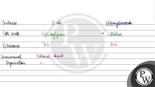 Which one of the following does not differ in Ecoli and Chlamydomonas [upl. by Maunsell]