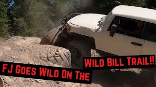 Wild Bill Trail  Toyota FJ Cruiser  Bonus CV Axle Replacement [upl. by Alledi]