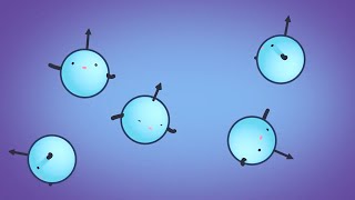 MRI Physics  Magnetic Resonance and Spin Echo Sequences  Johns Hopkins Radiology [upl. by Debi108]