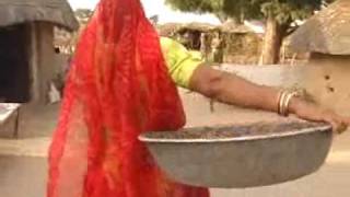 7 Wonders of India Bishnoi Village [upl. by Prem]