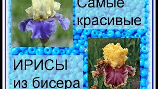 Irises Самые красивые ирисы из бисера [upl. by Nudnarb799]