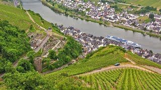 German Riesling Wine Journey [upl. by Dorette]