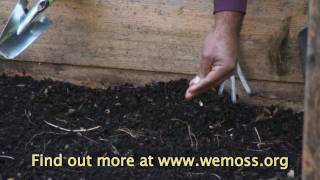 Vegetable Garden How to Sow Seeds in a Raised Bed Garden [upl. by Rashida]