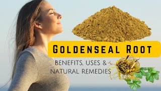 Secrets of Goldenseal Root Powder for Health and Healing [upl. by Imeaj]