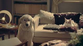 Nel nuovo spot Coop il carrello diventa il migliore amico di cani e gatti [upl. by Tarttan662]