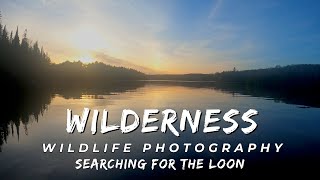 Wilderness Wildlife Photography in Canada  Forest Lakes and Rivers  Common Loons and Spring Birds [upl. by Deadman]