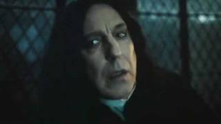 Severus Snape Missing [upl. by Atoked]