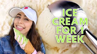 HOW TO START A SOFT SERVE ICE CREAM BUSINESS  HOW TO START SMALL ICE CREAM BUSINESS OFFICIAL VIDEO [upl. by Pruchno]