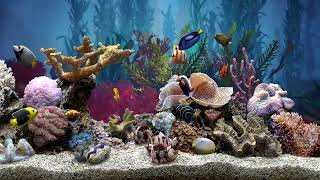 Very Relaxing Fish Tank Aquarium With Water Sound For Focus  No Music  HD [upl. by Vanthe]