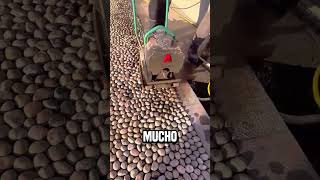 El uso más sorprendente de las piedras de desecho shortsvideo [upl. by So]