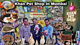 Khan Pet Shop  Exotic pet store Jogeshwari Mumbai [upl. by Ardnahcal]