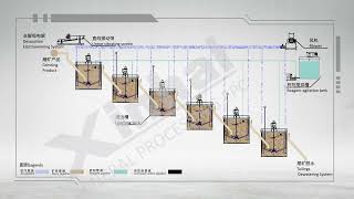 Leaching tank flow process CIP CIL [upl. by Anaidirib]