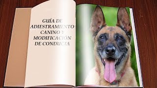 Guía básica de adiestramiento canino y modificación de conducta de perros [upl. by Anicart39]