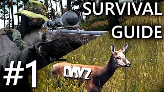 Der ULTIMATIVE DayZ Anfänger Guide  Dein idealer Start 1 [upl. by Yrojram]