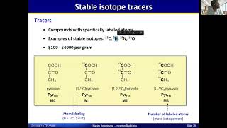 12 13C MFA Part 2  13C Metabolic Flux Analysis  Lecture 12  Metabolic Engineering  SP20 [upl. by Rector]