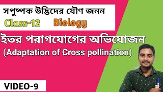 Adaptation of Cross pollination in angiosperms  Bengaliইতর পরাগ যোগের কৌশলClass12WBCHSE [upl. by Akinot]