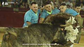 🎬 Roscadeando con Fuendejalón  Tráiler oficial  Toros en España Play [upl. by Bruce]