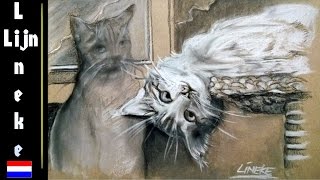 Hoe teken je een kat en poes in stappen [upl. by Adnuahsal]