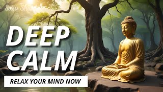 🌿 Relaxing Music for Deep Stress Relief 😌  Calm Your Mind amp Body with Nature Sounds 🌊 [upl. by Tecla]