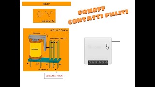 SONOFF CON CONTATTI PULITI COLLEGAMENTO [upl. by Naej]