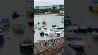 The Charm of Tenby Harbour tenby short [upl. by Aaberg878]