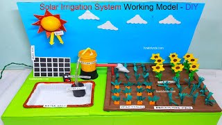 solar irrigation system working model science project for school exhibition  diy  howtofunda [upl. by Ita]