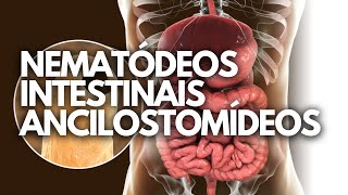 NEMATÓDEOS INTESTINAIS ANCILOSTOMÍDEOS parasitologia [upl. by Rudie]