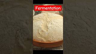 How Does Yeast Make Dough Rise  The Fermentation Process Shorts [upl. by Niklaus]