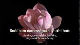 Ratana Sutta  The Jewel Discourse  Animated Subtitles amp Translations HD 720p [upl. by Weide457]