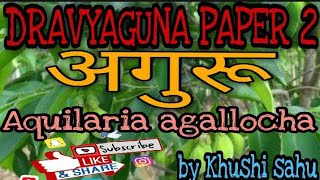 Aguru अगुरू  DRAVYAGUNA  DG 2ND  BAMS 2ND YEAR  DRUGS [upl. by Ariaec896]