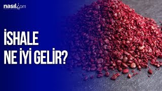 İshal İçin Bire Bir Sumak  Sağlık  Nasilcom [upl. by Llesig552]