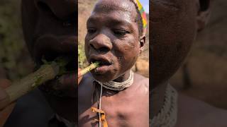 This traditional Way of brushing tooth and natural toothpaste for healthy teeth hadzabetribe food [upl. by Feenah]