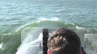 Dolphins Racing USS Newport News submarine II [upl. by Rialb983]