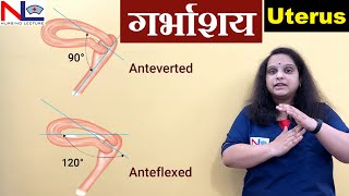 Uterus in Hindi  Female Reproductive System  Nursing Lecture [upl. by Ydur]