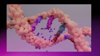 Standardization of PCR RFLP for molecular detection of Toxocara canis and Toxocara cati [upl. by Dolorita]