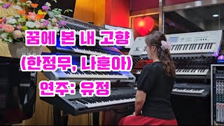 꿈에본내고향한정무나훈아유정전자올겐sd7ksd5sx900금비가요무대 [upl. by Naired]