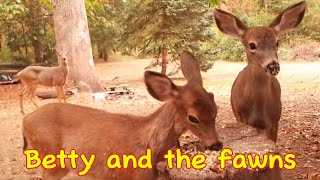 Betty and the Fawns [upl. by Felicidad]