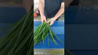 machine vegetables Automatic Leek and Scallion Peeling Machine [upl. by Ydak967]